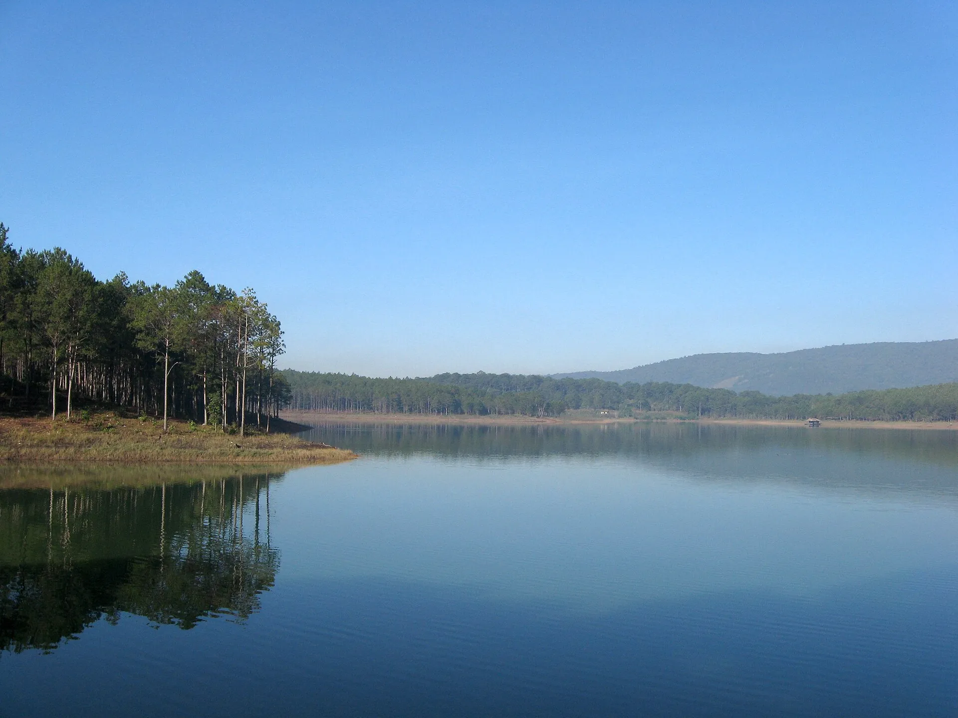 Pine forest and still water at Tuyen Lam Lake near Dalat on a clear morning