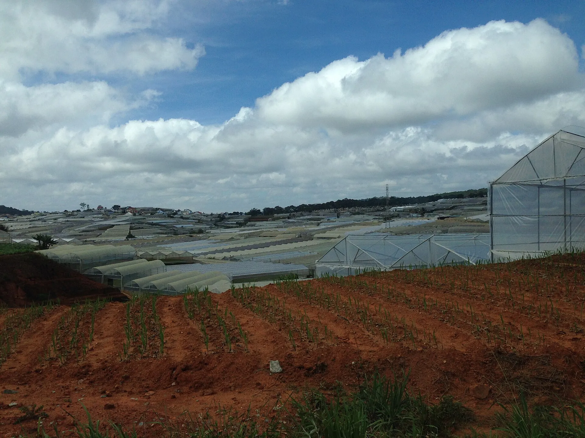 Greenhouse flower farms in the hills around Dalat, seen on a countryside ride